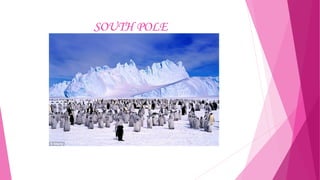 SOUTH POLE

 