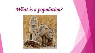 What is a population?

 