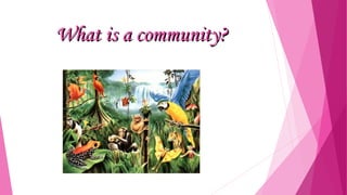 What is a community?

 