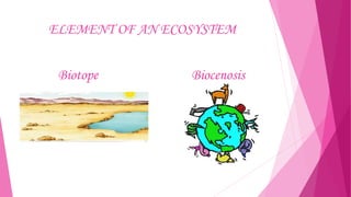 ELEMENT OF AN ECOSYSTEM
Biotope

Biocenosis

 