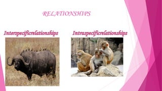 RELATIONSHIPS

 