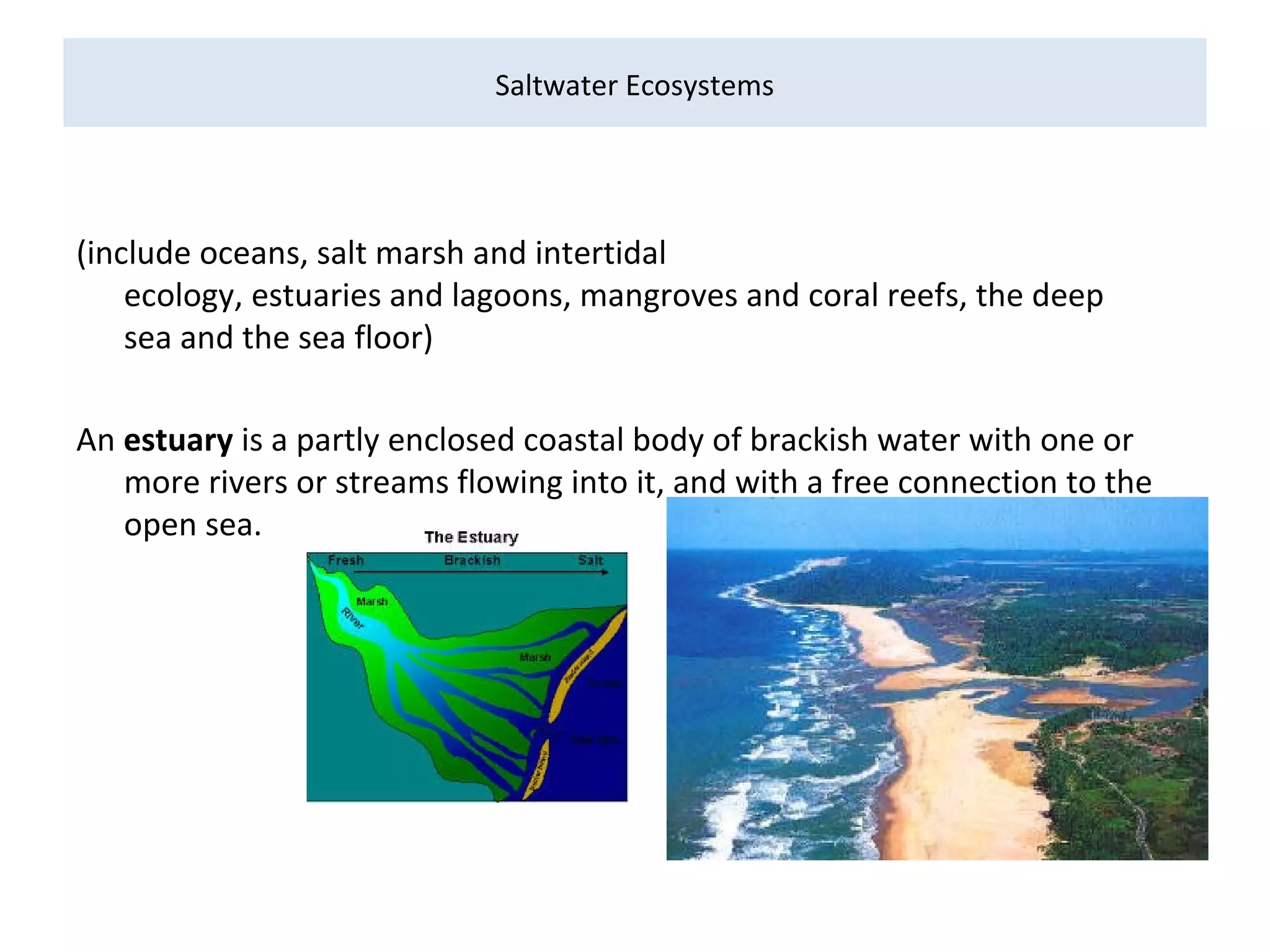 Saltwater Ecosystems
(include oceans, salt marsh and intertidal
ecology, estuaries and lagoons, mangroves and coral reefs, the deep
sea and the sea floor)
An estuary is a partly enclosed coastal body of brackish water with one or
more rivers or streams flowing into it, and with a free connection to the
open sea.
 