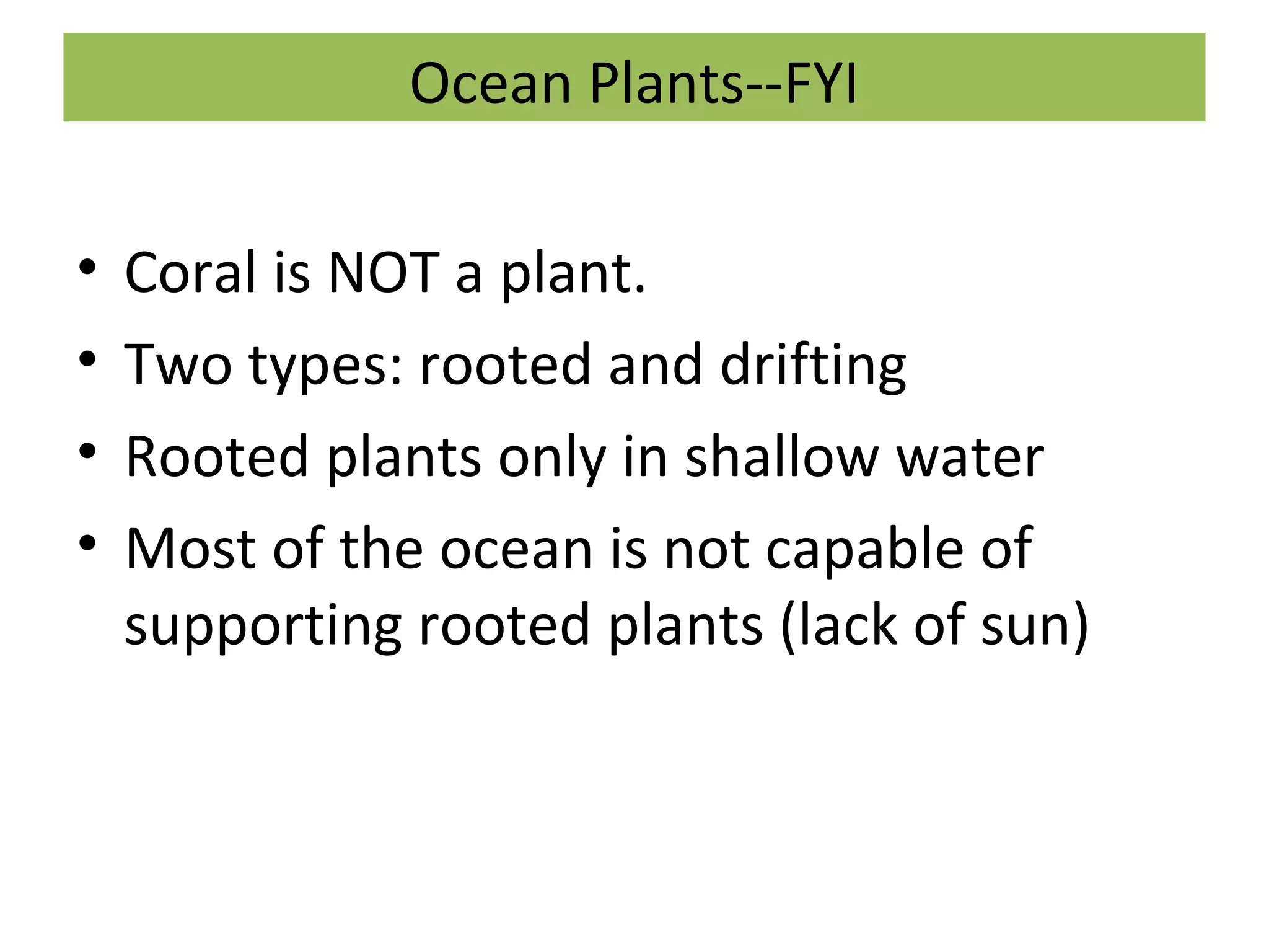 Ocean Plants--FYI
• Coral is NOT a plant.
• Two types: rooted and drifting
• Rooted plants only in shallow water
• Most of the ocean is not capable of
supporting rooted plants (lack of sun)
 