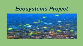Ecosystems Project
 