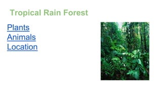 Tropical Rain Forest
Plants
Animals
Location
 