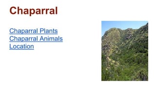 Chaparral
Chaparral Plants
Chaparral Animals
Location
 