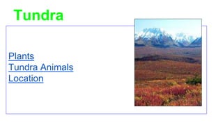 Tundra
Plants
Tundra Animals
Location
 