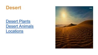 Desert
Desert Plants
Desert Animals
Locations
 