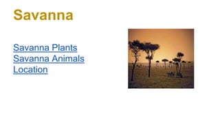Savanna
Savanna Plants
Savanna Animals
Location
 
