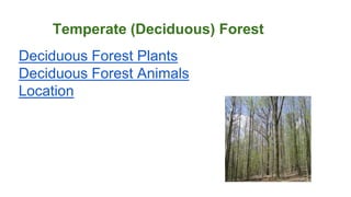 Temperate (Deciduous) Forest
Deciduous Forest Plants
Deciduous Forest Animals
Location
 