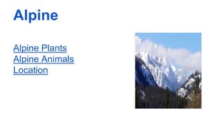 Alpine
Alpine Plants
Alpine Animals
Location
 