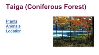Taiga (Coniferous Forest)
Plants
Animals
Location
 
