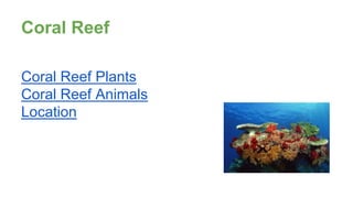 Coral Reef
Coral Reef Plants
Coral Reef Animals
Location
 