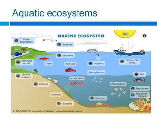 Unit 2. Ecosystems | PPT