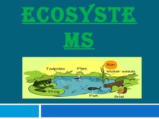 ECOSYSTE 
MS 
 