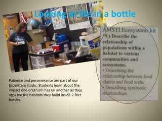 Patience and perseverance are part of our
Ecosystem study. Students learn about the
impact one organism has on another as they
observe the habitats they build inside 2 liter
bottles.
Looking at life in a bottle
 