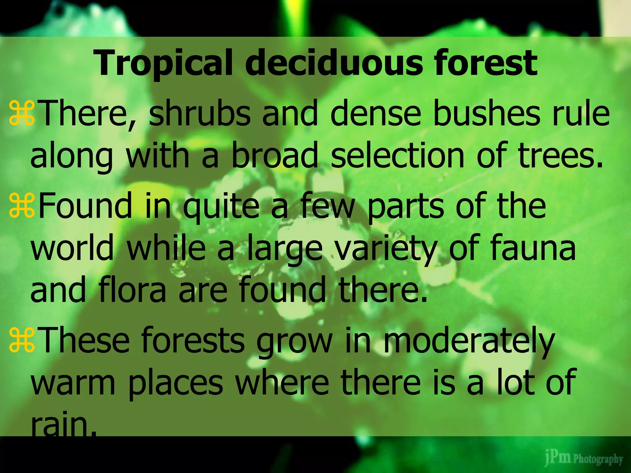 Tropical deciduous forest
There, shrubs and dense bushes rule
along with a broad selection of trees.
Found in quite a few parts of the
world while a large variety of fauna
and flora are found there.
These forests grow in moderately
warm places where there is a lot of
rain.
 