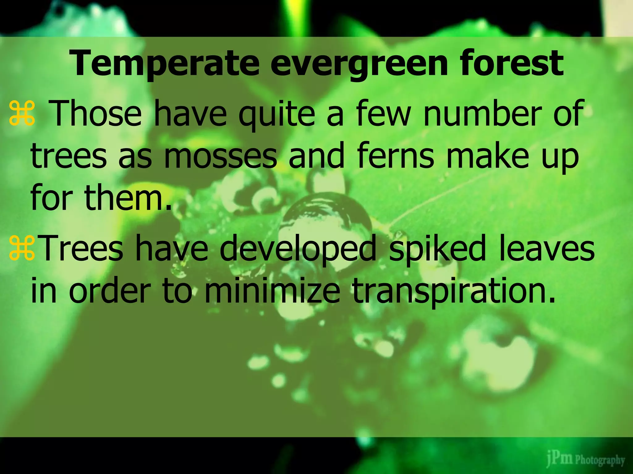 Temperate evergreen forest
 Those have quite a few number of
trees as mosses and ferns make up
for them.
Trees have developed spiked leaves
in order to minimize transpiration.
 