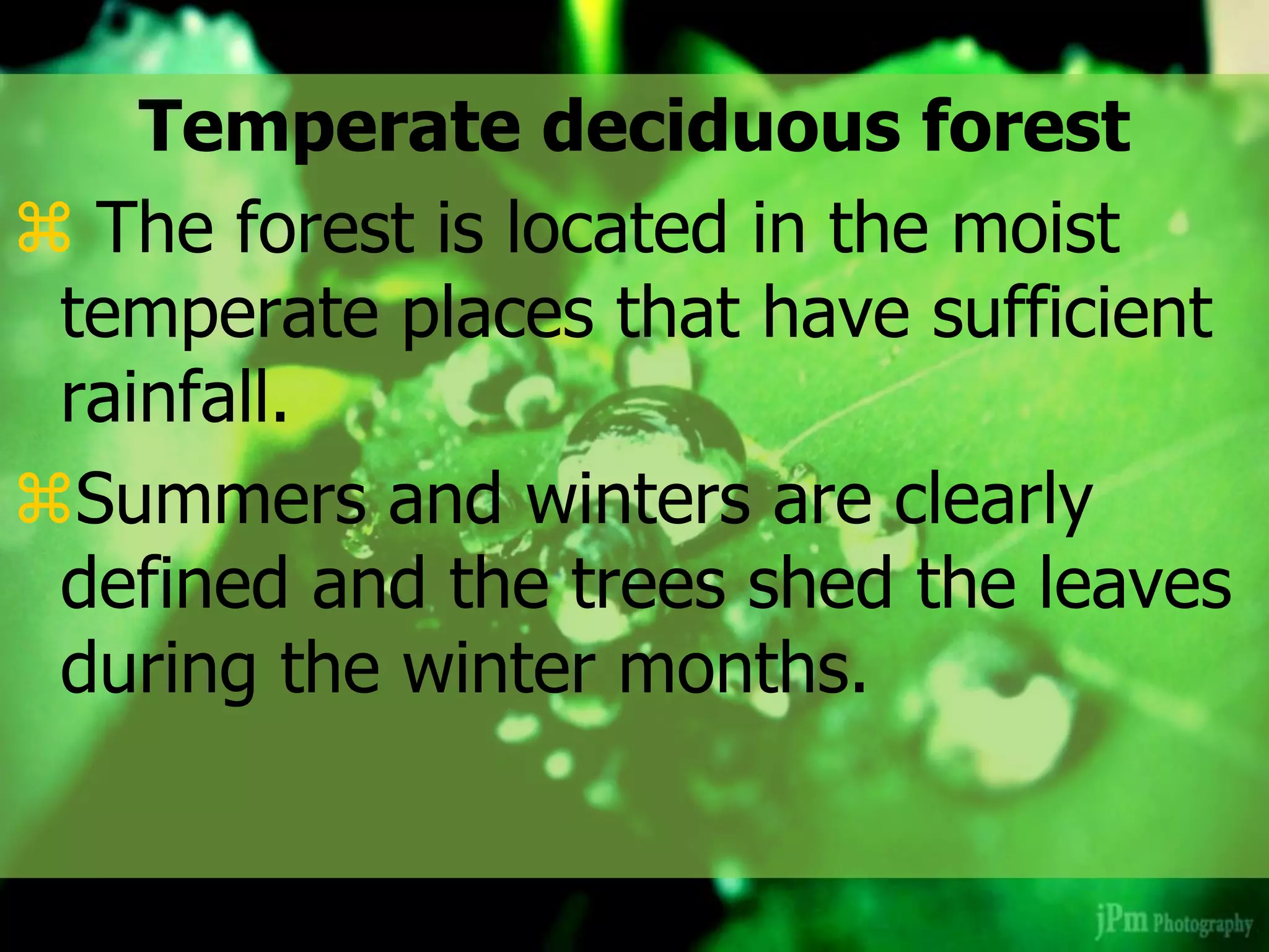 Temperate deciduous forest
 The forest is located in the moist
temperate places that have sufficient
rainfall.
Summers and winters are clearly
defined and the trees shed the leaves
during the winter months.
 