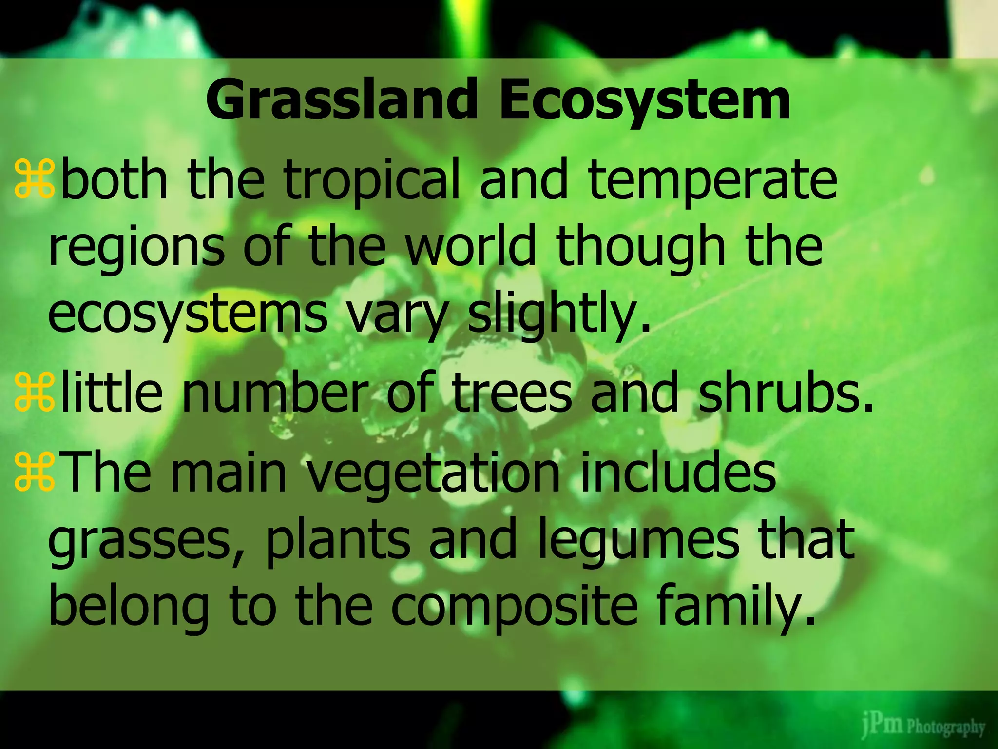 Grassland Ecosystem
both the tropical and temperate
regions of the world though the
ecosystems vary slightly.
little number of trees and shrubs.
The main vegetation includes
grasses, plants and legumes that
belong to the composite family.
 