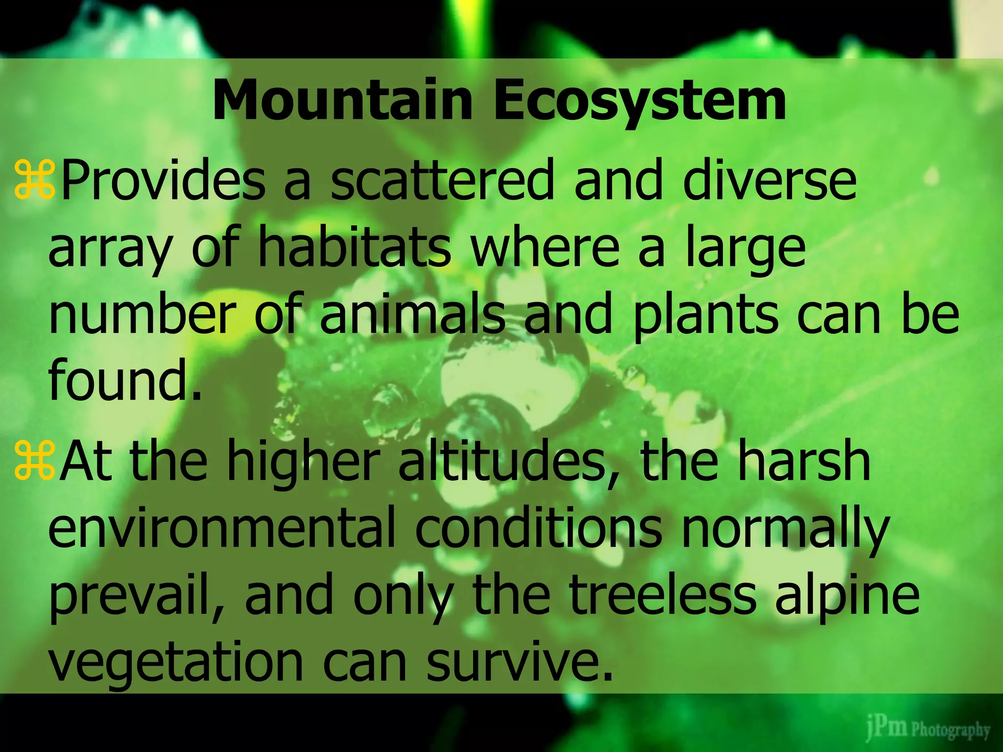 Mountain Ecosystem
Provides a scattered and diverse
array of habitats where a large
number of animals and plants can be
found.
At the higher altitudes, the harsh
environmental conditions normally
prevail, and only the treeless alpine
vegetation can survive.
 