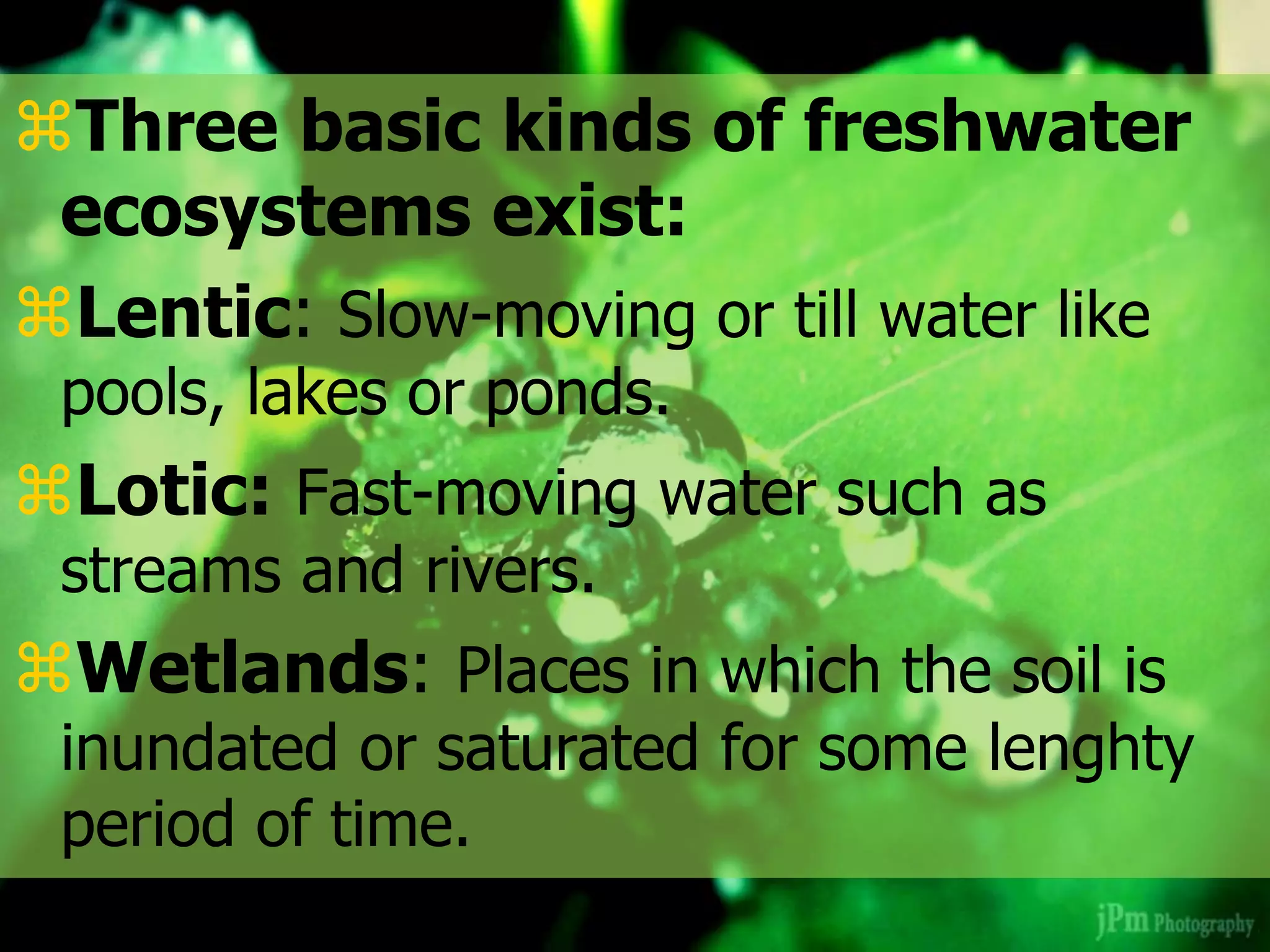 Three basic kinds of freshwater
ecosystems exist:
Lentic: Slow-moving or till water like
pools, lakes or ponds.
Lotic: Fast-moving water such as
streams and rivers.
Wetlands: Places in which the soil is
inundated or saturated for some lenghty
period of time.
 