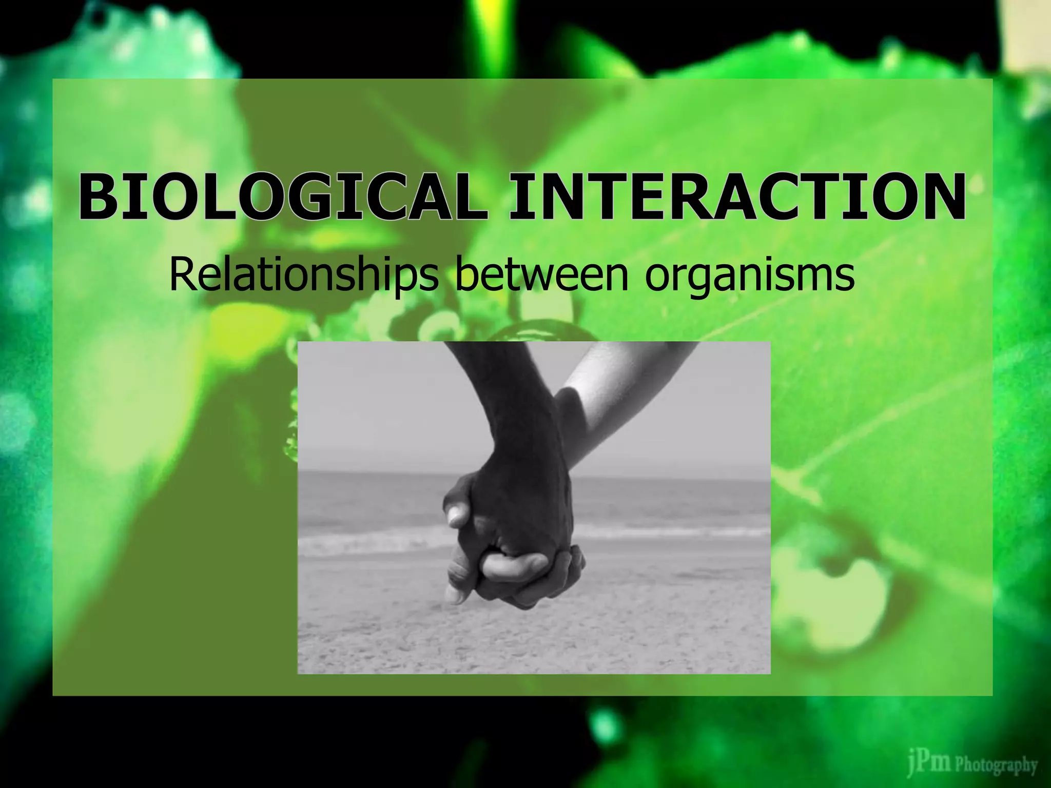 Relationships between organisms
 