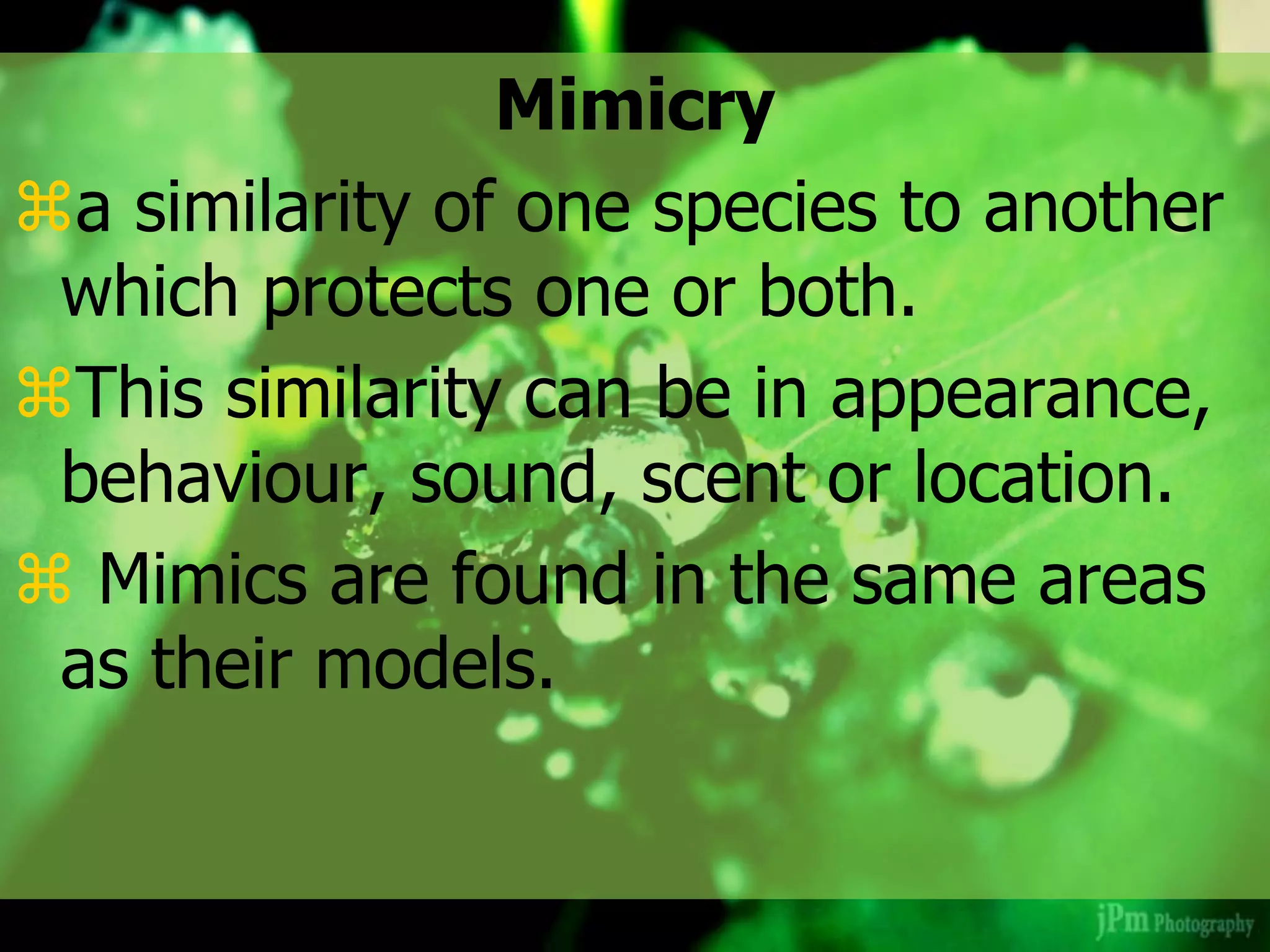 Mimicry
a similarity of one species to another
which protects one or both.
This similarity can be in appearance,
behaviour, sound, scent or location.
 Mimics are found in the same areas
as their models.
 