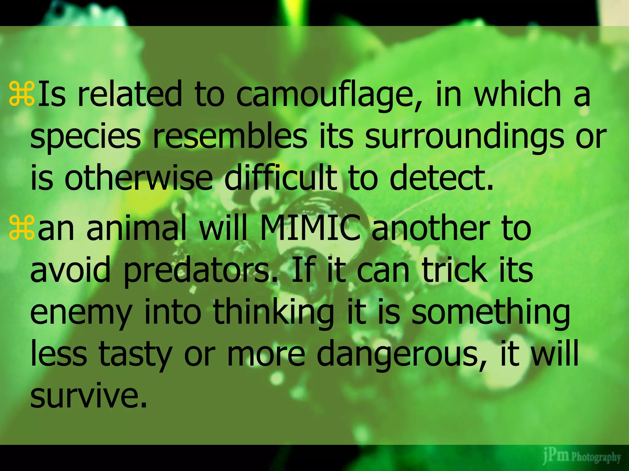 Is related to camouflage, in which a
species resembles its surroundings or
is otherwise difficult to detect.
an animal will MIMIC another to
avoid predators. If it can trick its
enemy into thinking it is something
less tasty or more dangerous, it will
survive.
 
