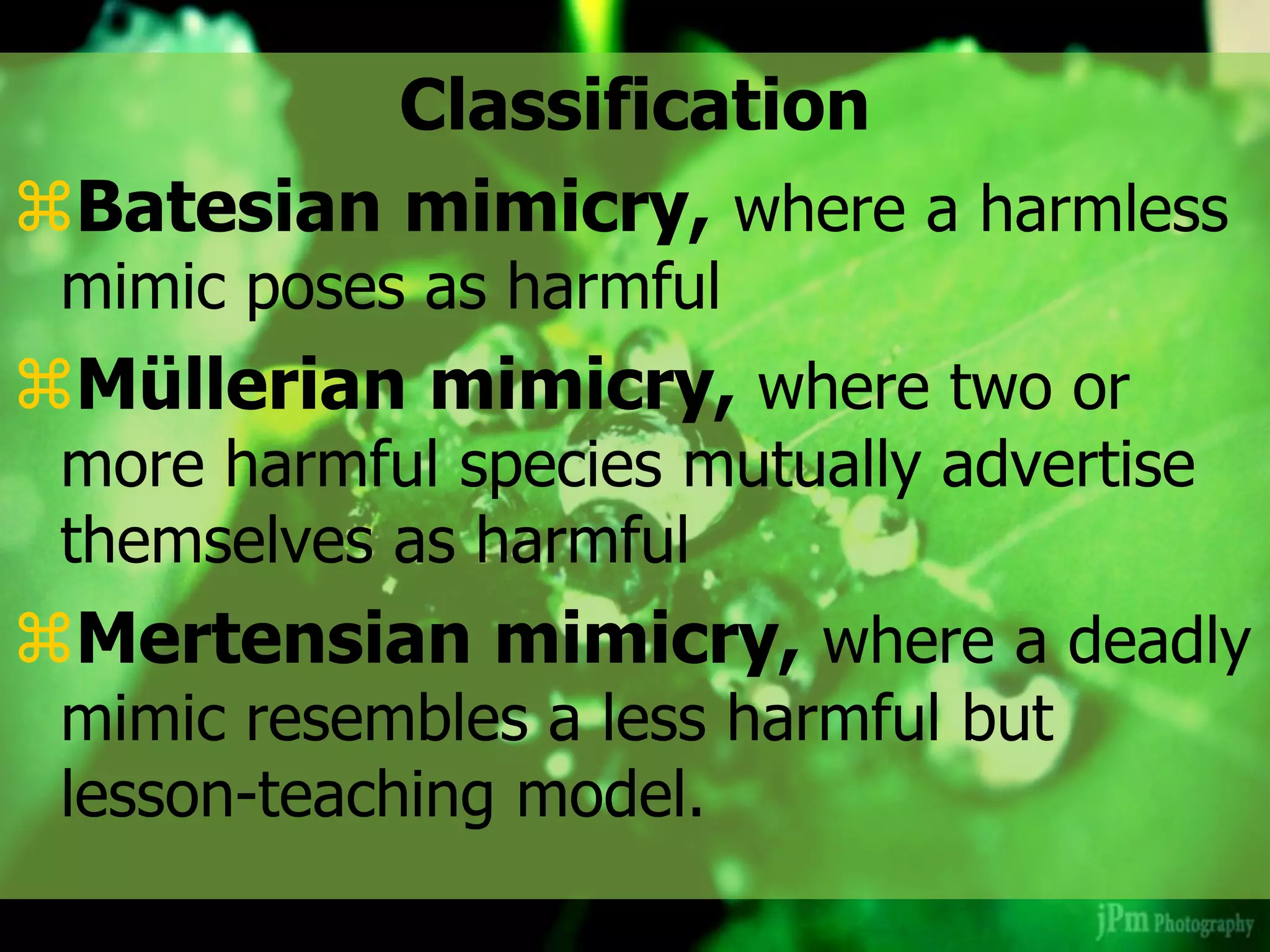 Classification
Batesian mimicry, where a harmless
mimic poses as harmful
Müllerian mimicry, where two or
more harmful species mutually advertise
themselves as harmful
Mertensian mimicry, where a deadly
mimic resembles a less harmful but
lesson-teaching model.
 