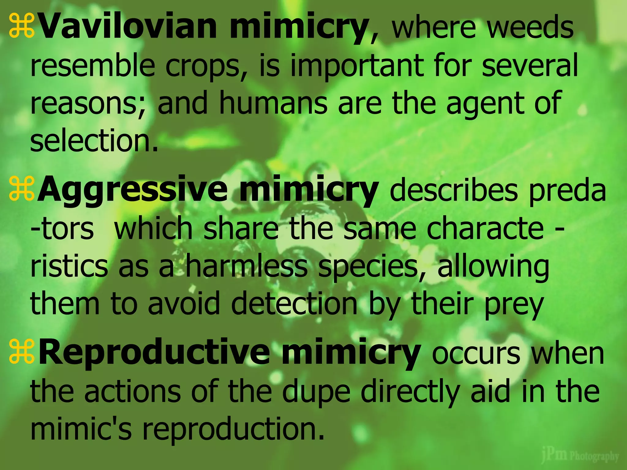 Vavilovian mimicry, where weeds
resemble crops, is important for several
reasons; and humans are the agent of
selection.
Aggressive mimicry describes preda
-tors which share the same characte -
ristics as a harmless species, allowing
them to avoid detection by their prey
Reproductive mimicry occurs when
the actions of the dupe directly aid in the
mimic's reproduction.
 