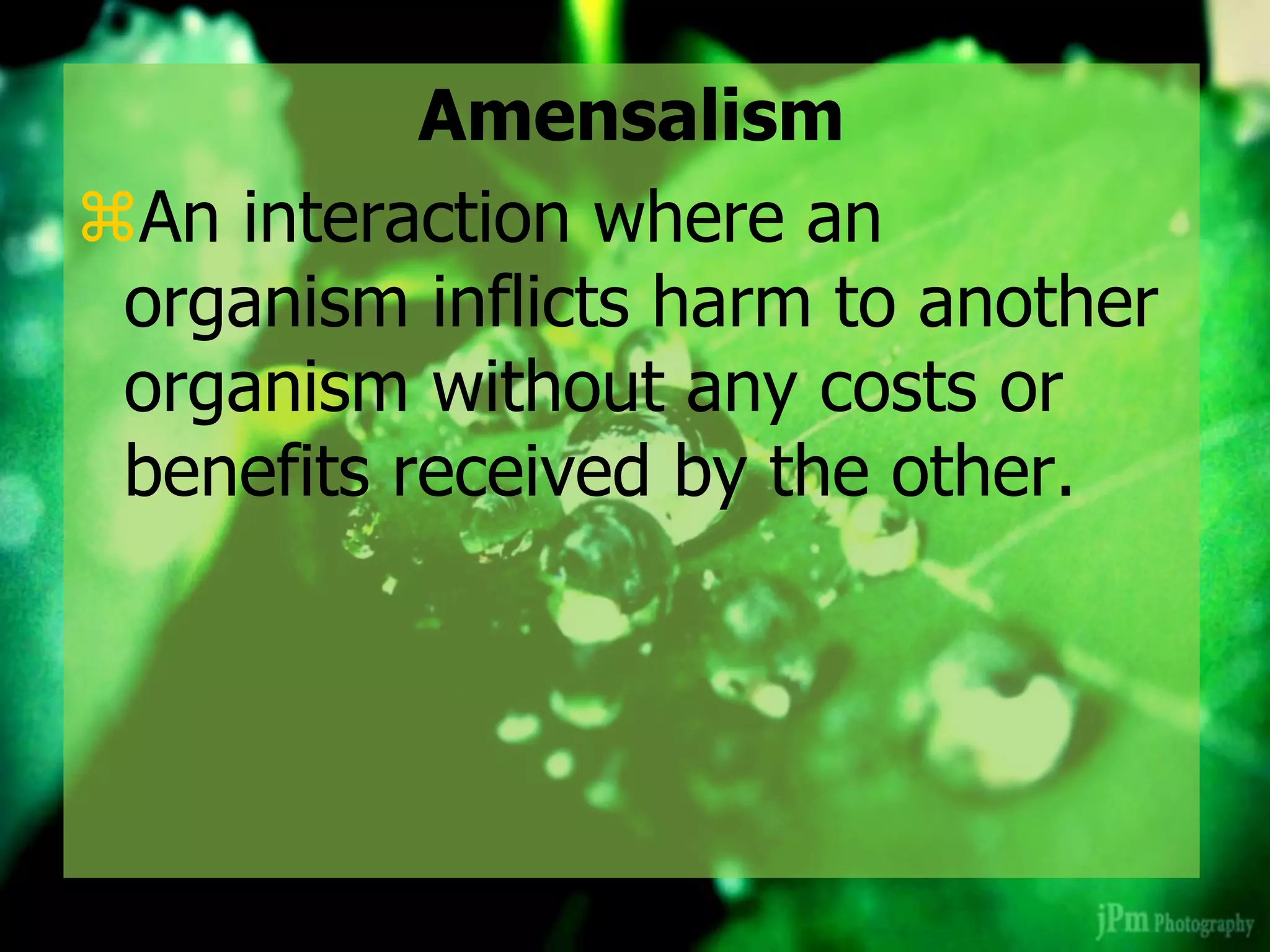 Amensalism
An interaction where an
organism inflicts harm to another
organism without any costs or
benefits received by the other.
 