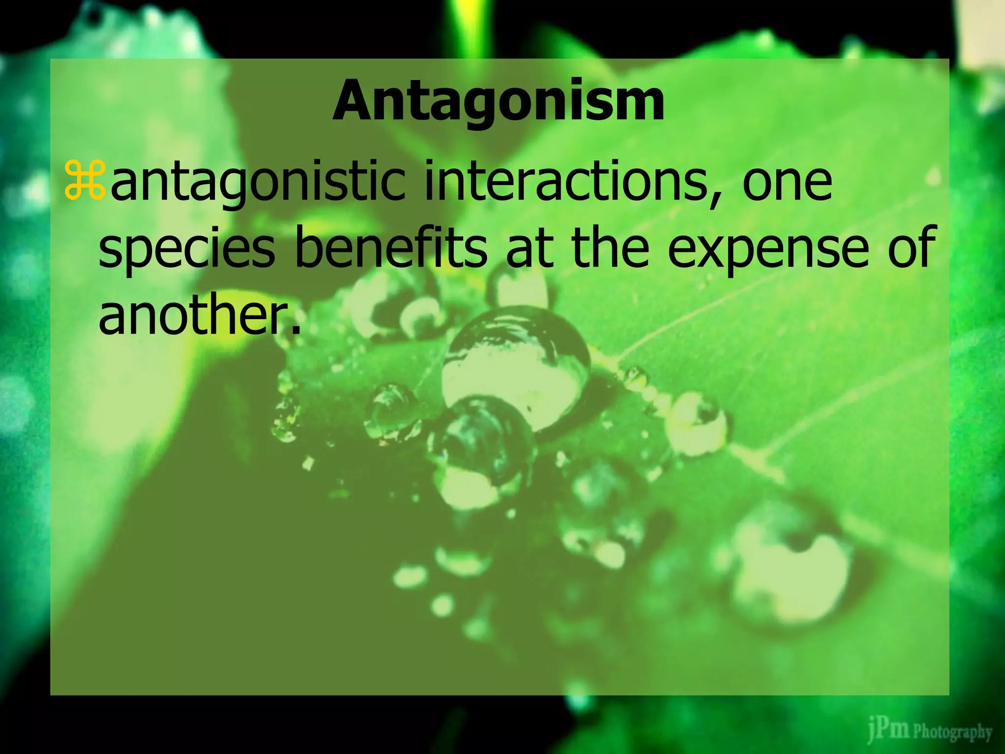Antagonism
antagonistic interactions, one
species benefits at the expense of
another.
 