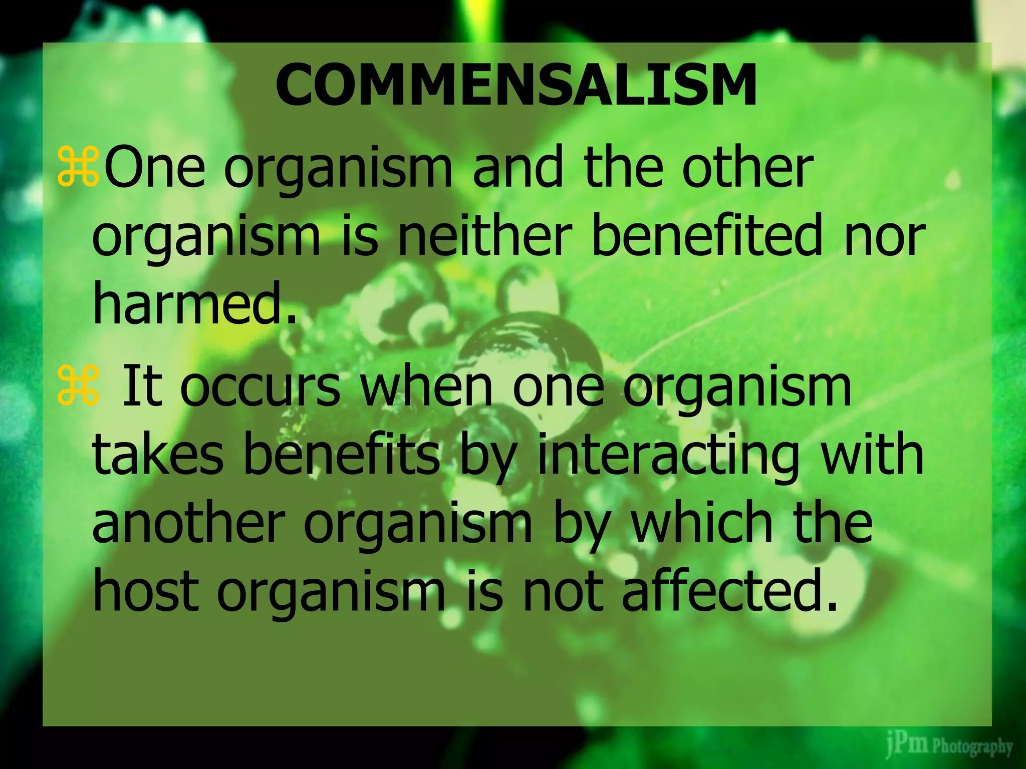 COMMENSALISM
One organism and the other
organism is neither benefited nor
harmed.
 It occurs when one organism
takes benefits by interacting with
another organism by which the
host organism is not affected.
 