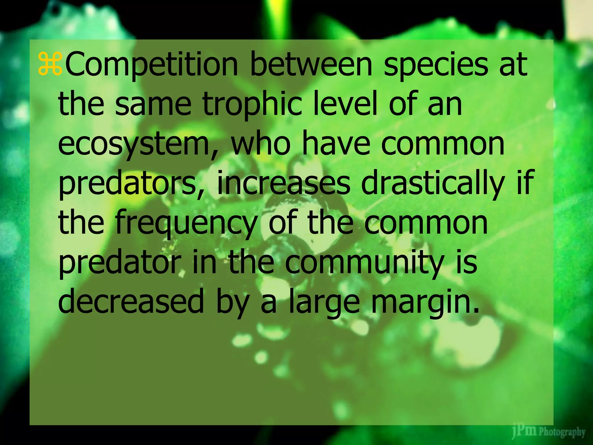 Competition between species at
the same trophic level of an
ecosystem, who have common
predators, increases drastically if
the frequency of the common
predator in the community is
decreased by a large margin.
 