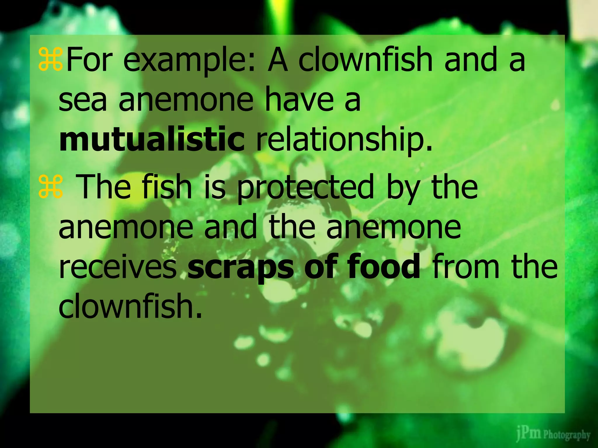 For example: A clownfish and a
sea anemone have a
mutualistic relationship.
 The fish is protected by the
anemone and the anemone
receives scraps of food from the
clownfish.
 