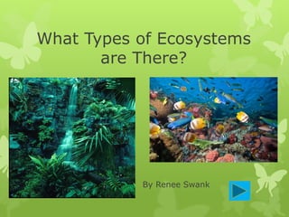 What Types of Ecosystems
are There?
By Renee Swank
 