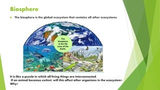 Ecosystems | PPTX