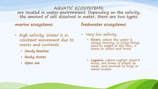 AQUATIC ECOSYSTEMS:
are located in water environment. Depending on the salinity,
the amount of salt dissolved in water, there are two types:
marine ecosystems:
• high salinity. Water is in
constant movement due to
waves and currents.
• Sandy beaches
• Rocky shores
• Open sea
freshwater ecosystems:
• Very low salinity.
• Rivers, where the water is
always moving, so living things
need to adapt to the flow, is
home to otters and trout.
• Lagoons, where wahter doesn’t
move, are home of plants as
reeds, and animals as frogs or
water snakes.
 