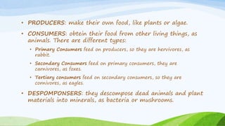 • PRODUCERS: make their own food, like plants or algae.
• CONSUMERS: obtein their food from other living things, as
animals. There are different types:
• Primary Consumers feed on producers, so they are hervivores, as
rabbit.
• Secondary Consumers feed on primary consumers, they are
carnivores, as foxes.
• Tertiary consumers feed on secondary consumers, so they are
cornivores, as eagles.
• DESPOMPONSERS: they descompose dead animals and plant
materials into minerals, as bacteria or mushrooms.
 