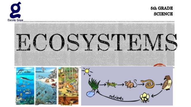 5th Grade Ecosystems