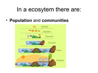 In a ecosytem there are:
• Population and communities