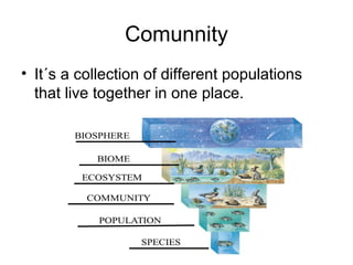 Comunnity
• It´s a collection of different populations
that live together in one place.