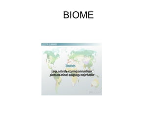 BIOME