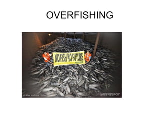 OVERFISHING