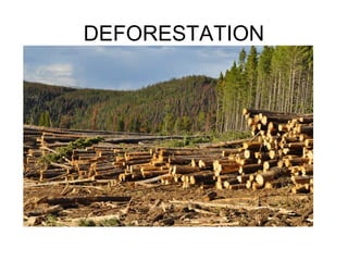 DEFORESTATION