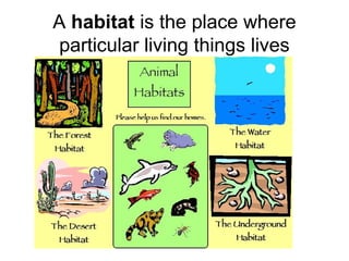 A habitat is the place where
particular living things lives