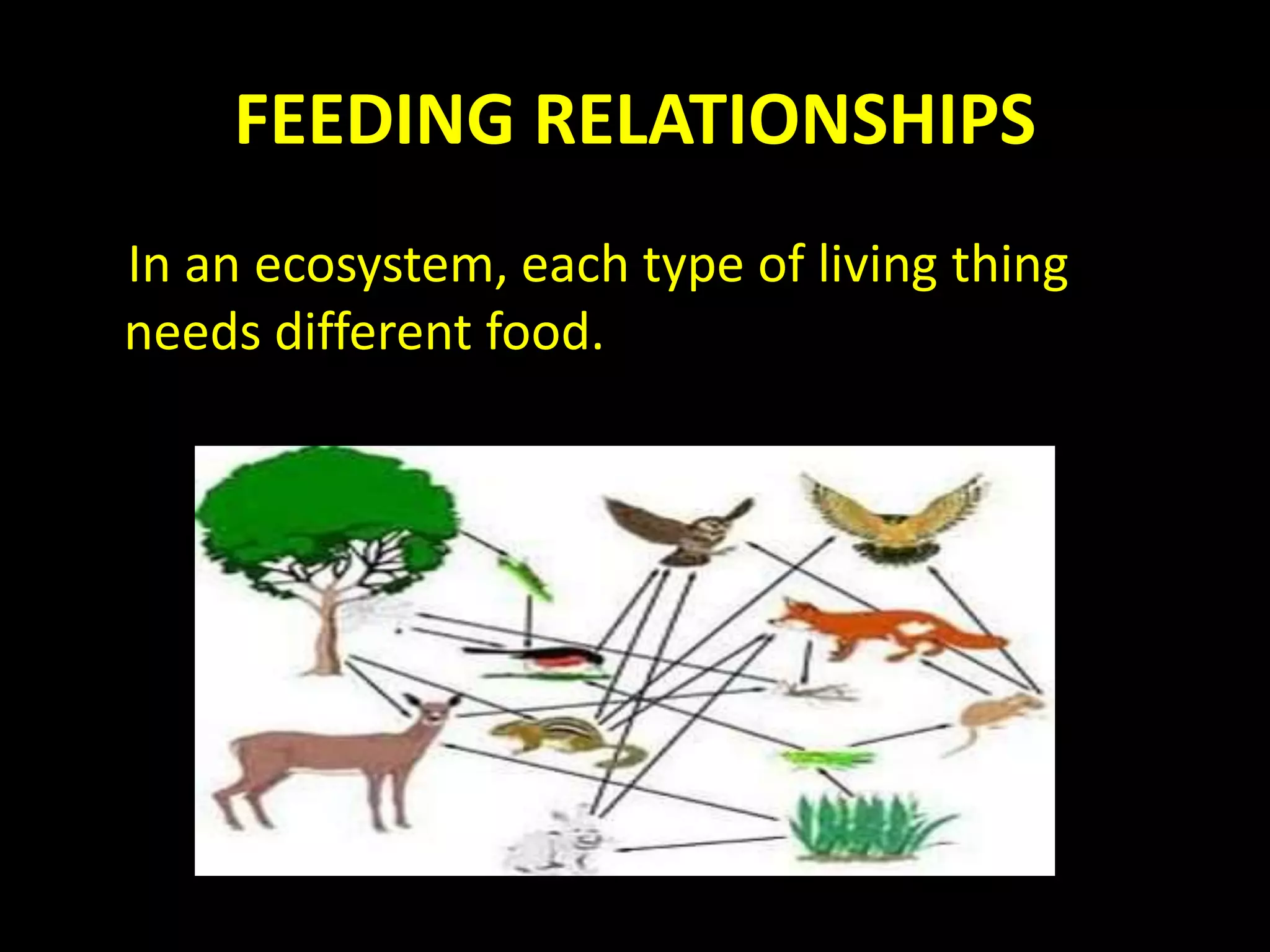 FEEDING RELATIONSHIPS
In an ecosystem, each type of living thing
needs different food.
 