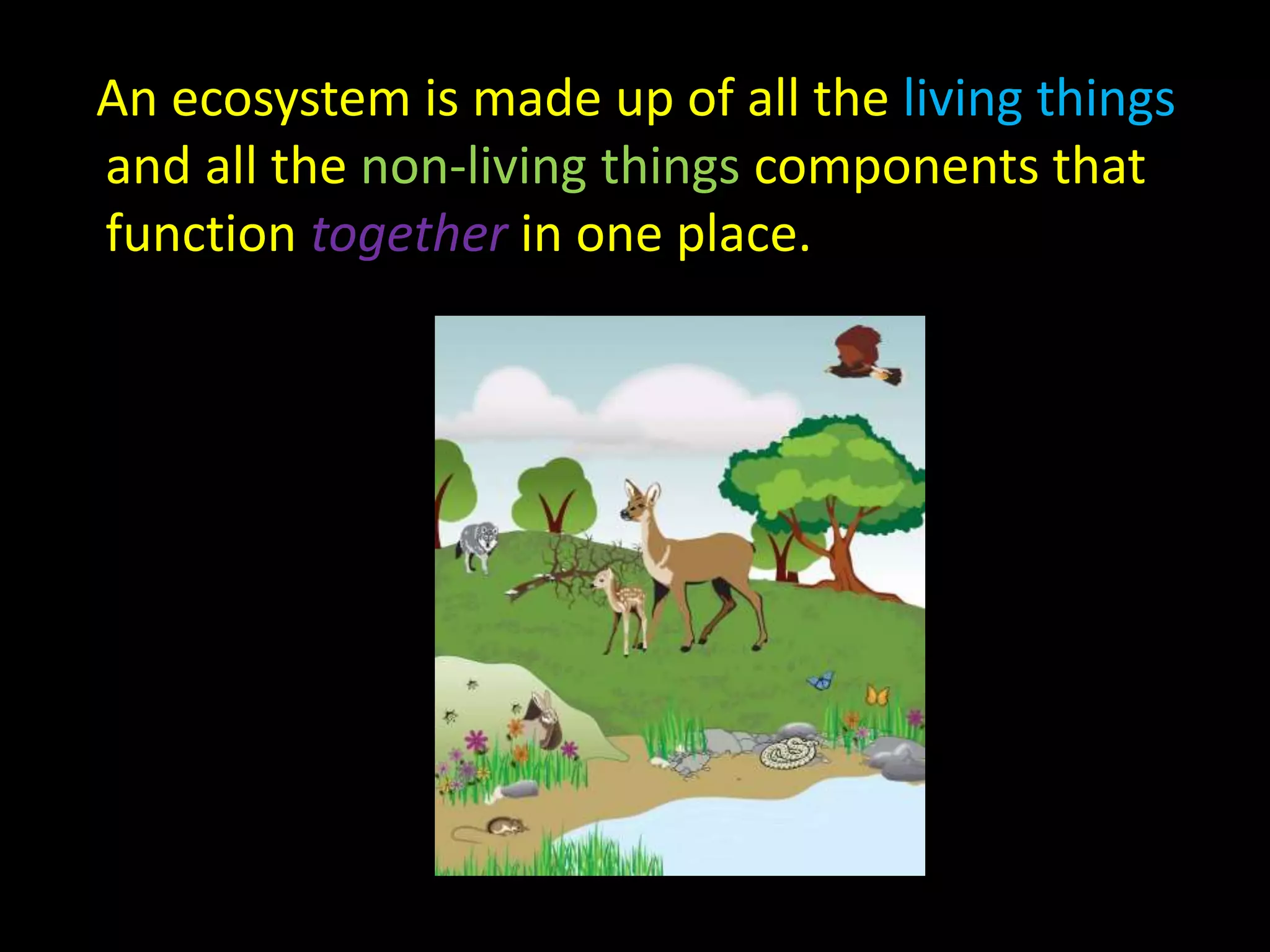 An ecosystem is made up of all the living things
and all the non-living things components that
function together in one place.
 