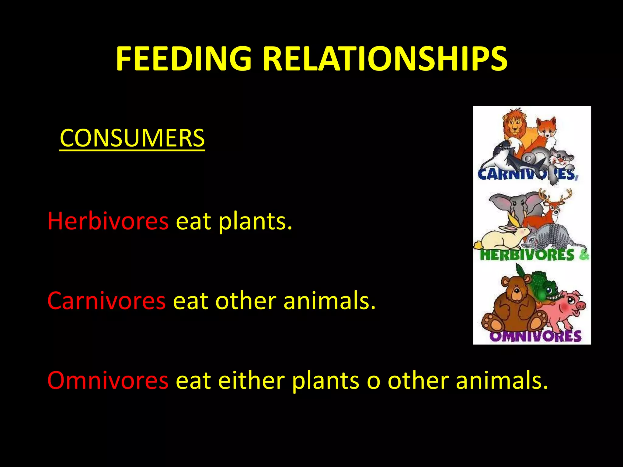 FEEDING RELATIONSHIPS
CONSUMERS
Herbivores eat plants.
Carnivores eat other animals.
Omnivores eat either plants o other animals.
 